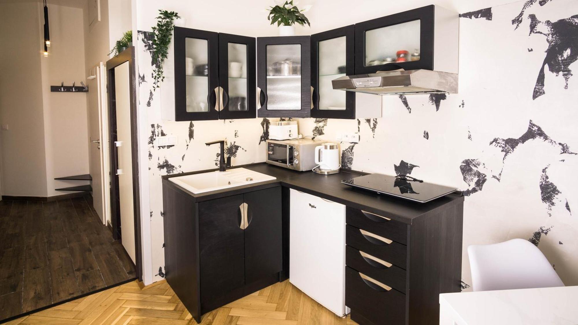 Black & White Apartment Prague By Wenceslas Square And Muzeum Dış mekan fotoğraf